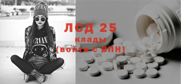 прущие грибы Верхний Тагил