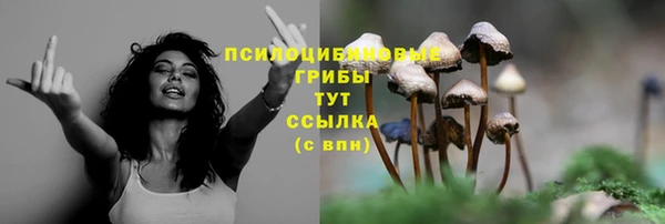 гашиш Богородицк
