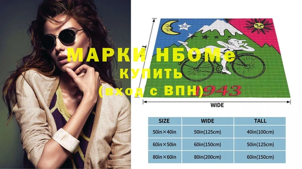 прущие грибы Верхний Тагил
