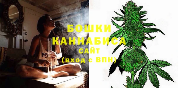 дурь Дубовка