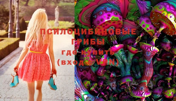 прущие грибы Верхний Тагил