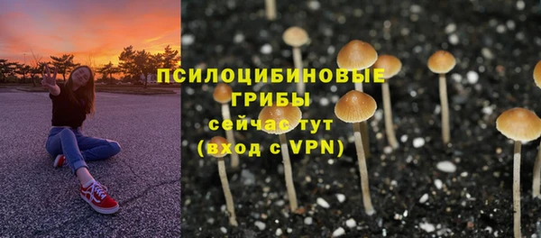 мет Богданович