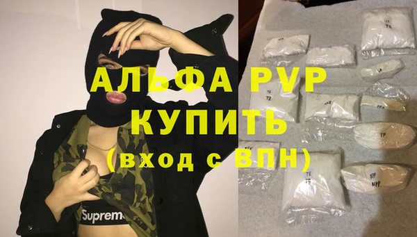 спиды Верея