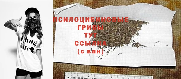 спиды Верея