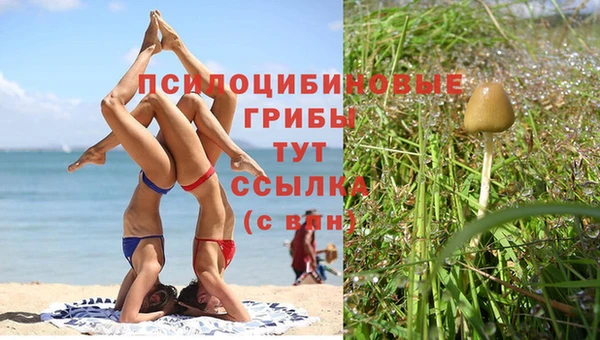 мет Богданович
