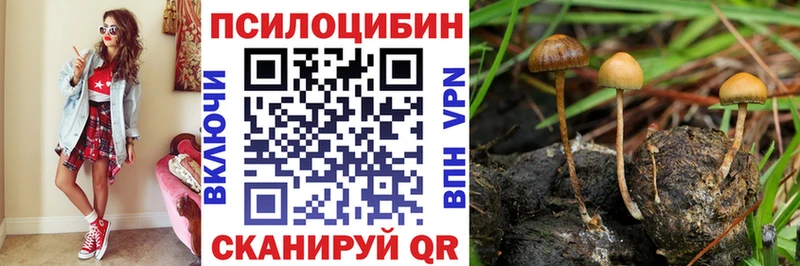 Галлюциногенные грибы прущие грибы  купить наркотики сайты  Выборг 
