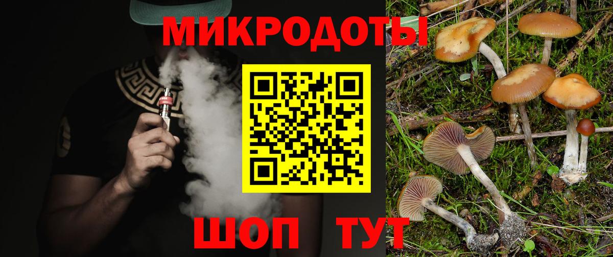 Галлюциногенные грибы прущие грибы Выборг