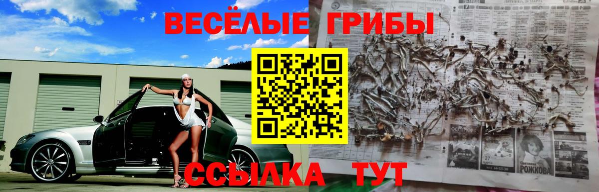 Выборг  Галлюциногенные грибы мухоморы  Вход с VPN 