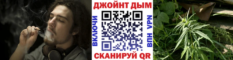 гидра ТОР  Выборг  Бошки Шишки SATIVA & INDICA 